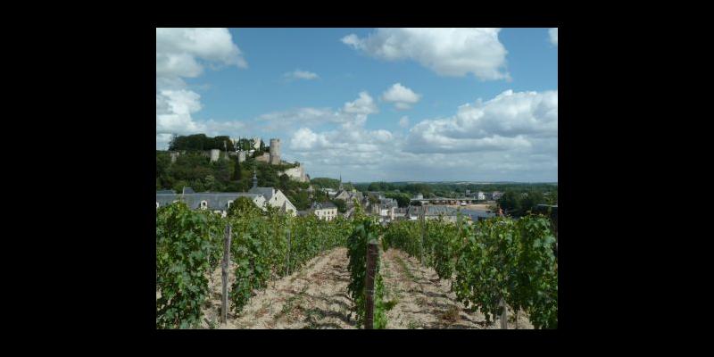 Clos de l'Hospice