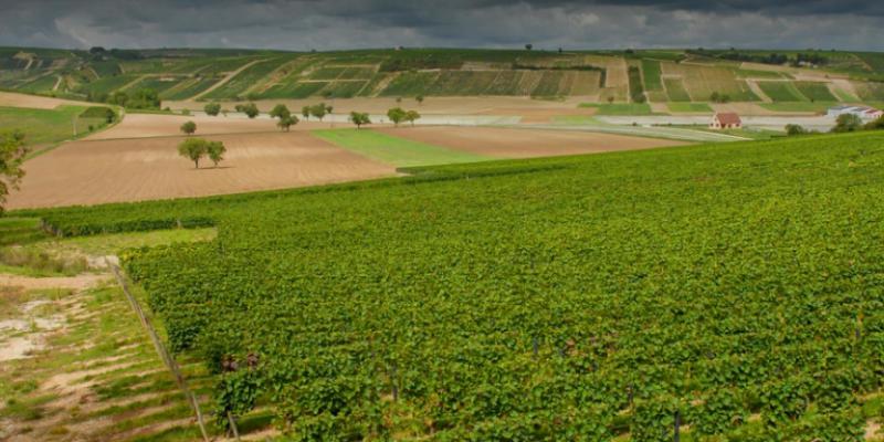 Domaine François Millet