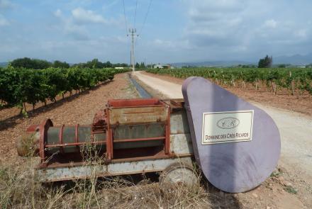 Domaine des Crès Ricards