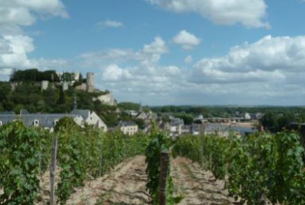Clos de l'Hospice